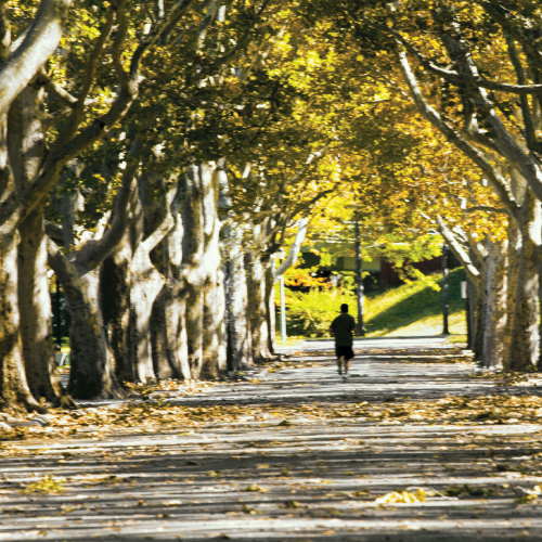 How an Incentive Trust Can Influence Your Heirs